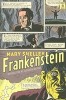 Frankenstein: Or the Modern Prometheus