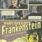 Frankenstein: Or the Modern Prometheus