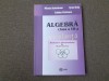 ALGEBRA EXCELENTA CLASA A VII MIHAELA BERINDEANU