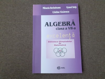 ALGEBRA EXCELENTA CLASA A VII MIHAELA BERINDEANU foto