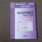 ALGEBRA EXCELENTA CLASA A VII MIHAELA BERINDEANU