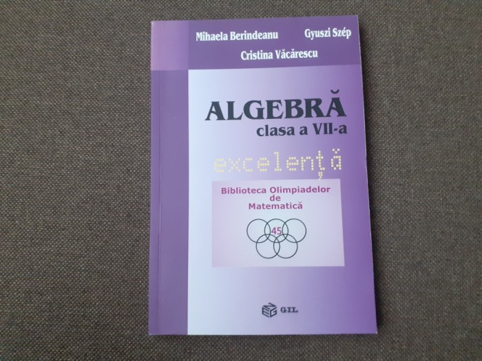 ALGEBRA EXCELENTA CLASA A VII MIHAELA BERINDEANU