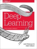Deep Learning: A Practitioner&#039;s Approach
