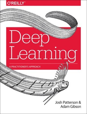 Deep Learning: A Practitioner&#039;s Approach