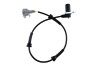 Senzor ABS spate Nissan X-Trail T30 2001-09.2003, Dreapta, NTY HCA-NS-010