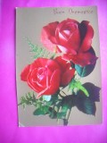 HOPCT 11326 TRANDAFIRI-CP FELICITARE FLORI-ITALIA -EUROPA -NECIRCULATA