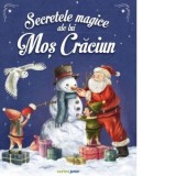 Secretele magice ale lui Mos Craciun - Teodora Nicolau, Emmanuelle Lepetit