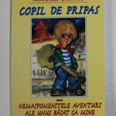 COPIL DE PRIPAS SAU NEMAIPOMENITELE AVENTURI ALE UNUI BAIAT CA MINE de NOROCEL DIMITRIU , 2000