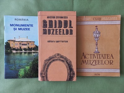 MUZEE SI MONUMENTE + GHIDUL MUZEELOR- ARISTIDE STEFANESCU + ACTIVITATEA MUZEELOR foto