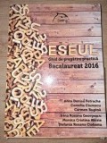 Eseul: Ghid pentru pregatire practica pentru Bacalaureat 2016- Anca Denisa Petrache, Camelia Ciurescu