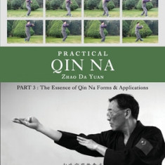 Practical Qin Na Part 3: The Essence of Qin Na - Forms & Applications