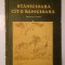 Dorina Bădescu - Stănicioară c&acirc;t o bănicioară (ilustrații Ștefan Nastac)