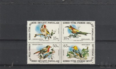 Fauna ,pasari,Cipru Turc. foto
