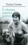 &Icirc;n căutarea &icirc;ngerilor pierduţi - Paperback brosat - Doina Cornea - Școala Ardeleană, 2019