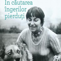 În căutarea îngerilor pierduţi - Paperback brosat - Doina Cornea - Școala Ardeleană