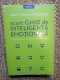 Scurt ghid de inteligenta emotionala. Cum sa ai succes intr- lume nebuna Andy Cope, Amy Bradley IN TIPLA