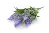 Flori artificiale &ndash; lavanda 31-1