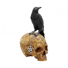 Cutie bijuterii corb pe craniu Salems Familiar 27cm