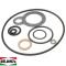 Set complet garnituri carburator Dellorto PHBN - Aprilia SR &ndash; Malaguti &ndash; MBK Booster &ndash; Yamaha 2T 50cc - mot. Minarelli (soc manual)