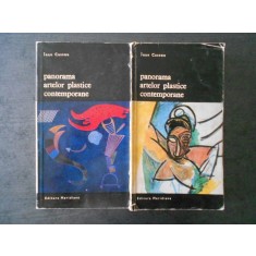 JEAN CASSOU - PANORAMA ARTELOR PLASTICE CONTEMPORANE 2 volume