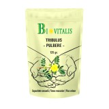 Tribulus Terrestris pulbere 125gr Sanoviva Farma
