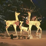 Decorațiune de Crăciun familie reni, 201 LED-uri, auriu