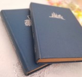 Din istoria Transilvaniei, volumele I și II ☆Victor Cherestesiu☆