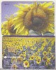 Bnk card Cartela telefonica 2003 - Floarea soarelui RO-ROM-0199