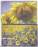 Bnk card Cartela telefonica 2003 - Floarea soarelui RO-ROM-0199