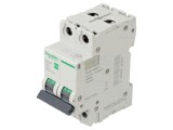 &Icirc;ntrerupător de supracurent 63A, 2 poli, 6kA, Easy9 Pro