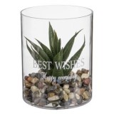 Vază Decorativă Transparentă din Plastic cu Plantă Verde, CMCLASS
