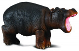 Hipopotam - Animal figurina, Collecta