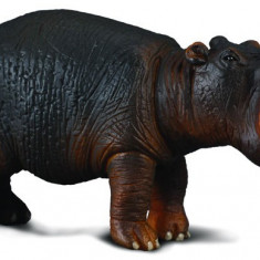 Hipopotam - Animal figurina
