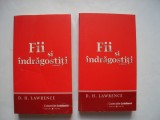 Fii si indragostiti (vol. I-II) - D.H. Lawrence, Univers