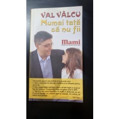 Numai tata sa nu fii - Val Valcu