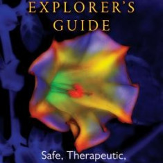 The Psychedelic Explorer's Guide: Safe, Therapeutic, and Sacred Journeys