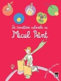 Sa invatam culorile cu Micul Print/***