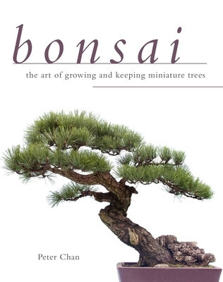 Bonsai: The Art of Growing and Keeping Miniature Trees foto