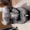 Scaun auto pt copii - Cybex Sirona