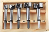Freze Lemn ( 5 buc/set ) - 640034