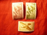 Serie Guineea Spaniola 1957 - Pasari - Papagali , 3 valori, Nestampilat