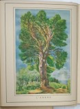 DROGUES ET PEINTURES , COLLECTION INNOTHERA / CHANTEREAU