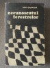 Ion Caraion - Necunoscutul ferestrelor