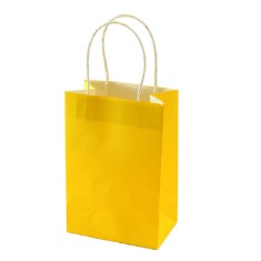 Pungi Cadou cu Model Galben 16x9x21 cm, 100 Buc/Bax, Sacose si Plase din Hartie foto
