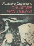 Calatorie prin oglinzi Ruxandra Cesereanu Editura Dacia 1989 Literatura Romana Carte Veche Carti Rare