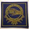 5.540 ROMANIA ECUSON EMBLEMA PATCH LICEUL TEORETIC MIHAIL SAULESCU PREDEAL 75mm