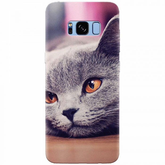 Husa silicon pentru Samsung S8 Plus, British Shorthair Cat Yellow Eyes Portrait