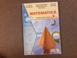 MATEMATICA MANUAL PENTRU CLASA A X M2 COSTEL CHITES/GABRIELA STREINU CERCEL