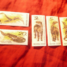 Serie URSS 1990 - Fauna preistorica , 5 valori