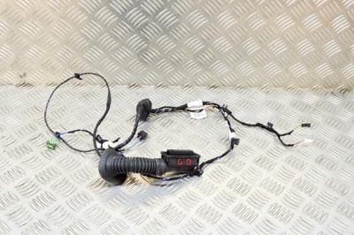 Cablaj ușă dreapta spate BMW i3 I01 2019 OEM: 8806982,8806978,8806982,8806978 13805722 foto